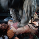 Illustration for article titled The Unflinching War Photography of Chris Hondros